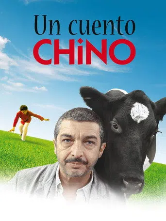 Zoraki Misafir