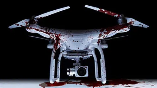 The Drone izle afişi