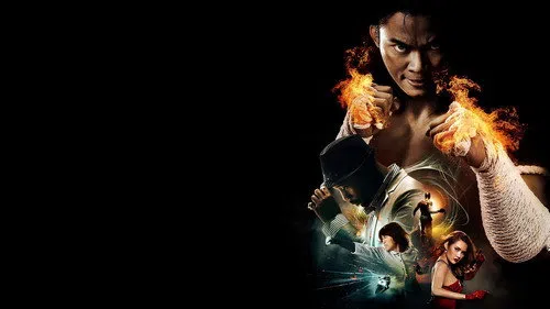 Koruyucu 2 izle afişi