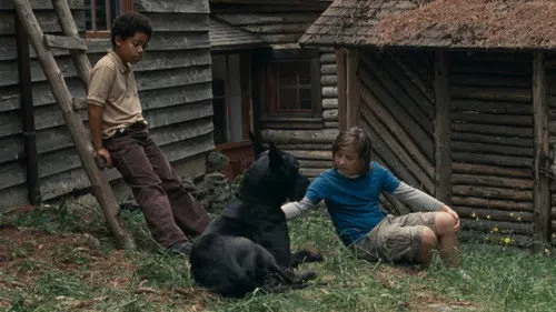 Allen Sunshine izle afişi
