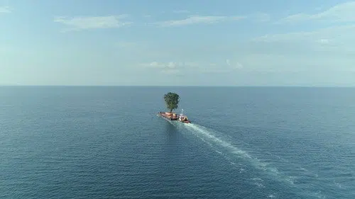 მოთვინიერება izle afişi
