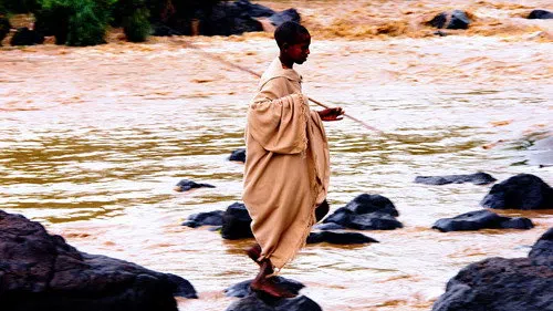 The Search for the Nile izle afişi