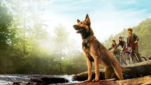 Max izle