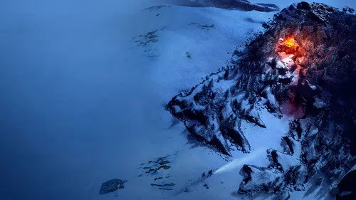 Бешенство izle
