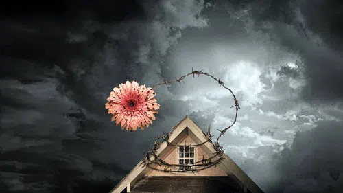 Petals on the Wind izle