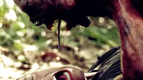 Kanlı Tatil izle