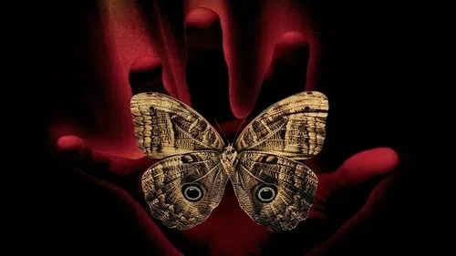 Yıldırım Hızı izle