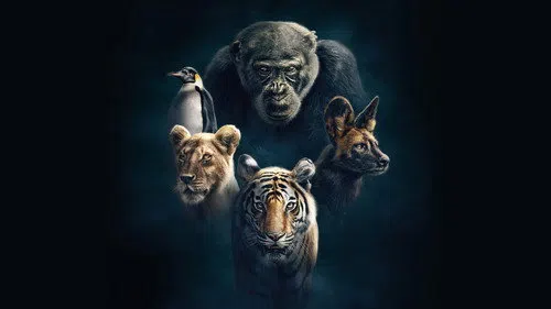 Soylar izle