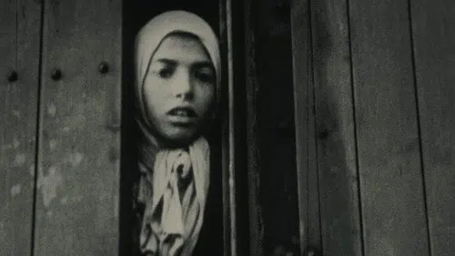 Gece ve Sis izle