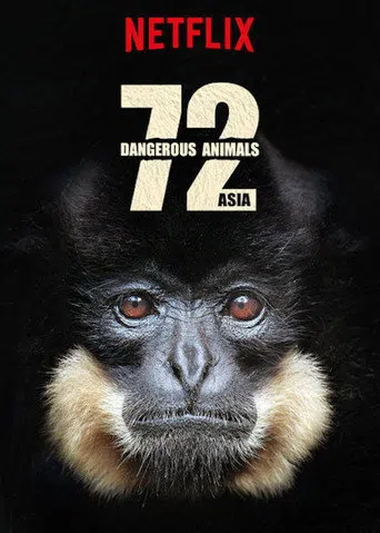 72 Tehlikeli Hayvanlar: Asya