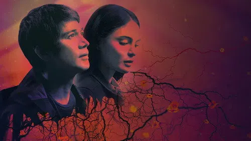 Flower of Evil izle afişi