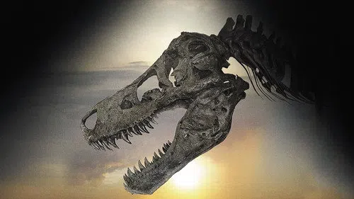 Dinosaur 13 izle afişi