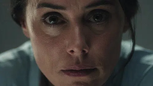 Singular izle afişi