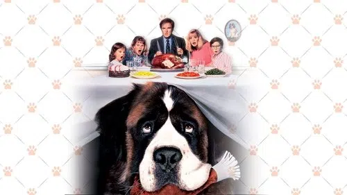 Afacan Köpek Beethoven izle