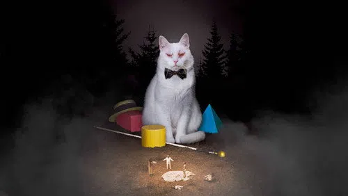 Koko-di Koko-da izle