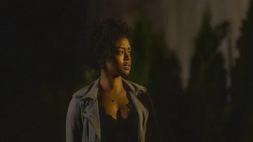 Double Life izle afişi