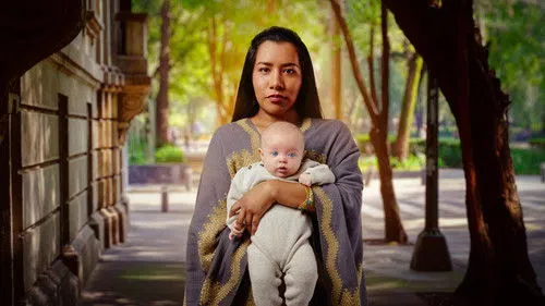 Taşıyıcı Anne izle