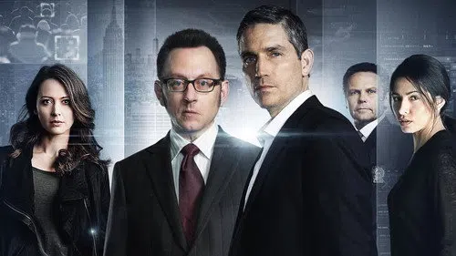 Person of Interest izle
