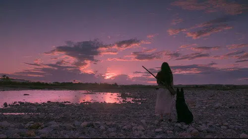 Birdshot izle afişi