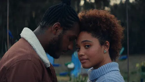 The Young Wife izle afişi