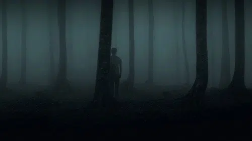 Nightman izle afişi