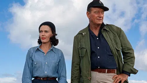 Donovan'ın Salonu izle