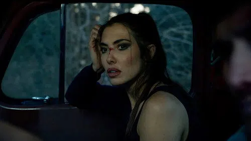 Bogieville izle afişi