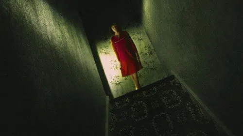 The Enfield Poltergeist izle afişi