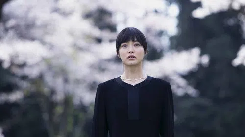Summer Blooms izle afişi