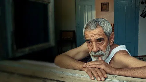 Vicdan Ağacı izle afişi