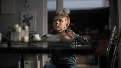 Sevgisiz izle afişi