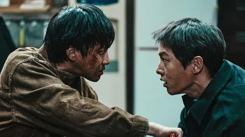 화란 izle