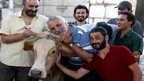 Sürgün İnek izle afişi