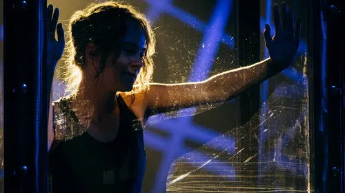 Fatal Illusions izle afişi