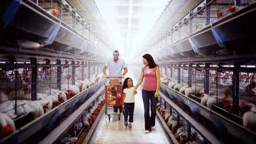 Yemeğimizi Zehir Eden Kirli Gerçekler izle