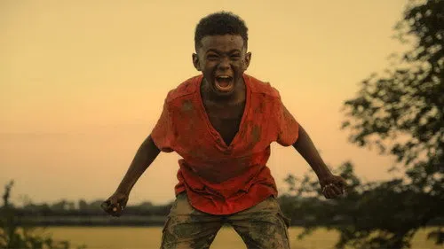 The Last Tree izle afişi