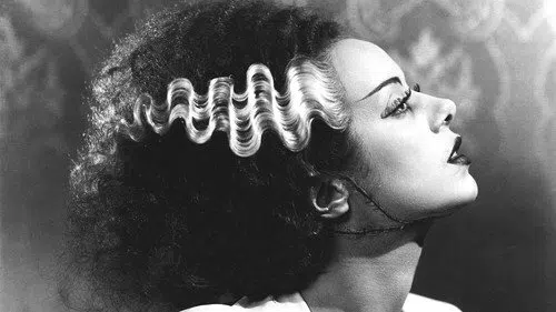 Frankenstein'ın Gelini izle