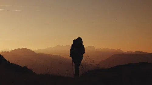 Der Pfad izle afişi