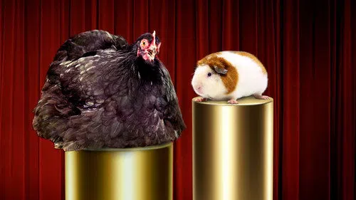 Going Fur Gold izle afişi