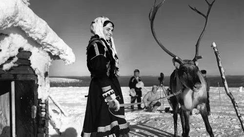 Valkoinen peura izle
