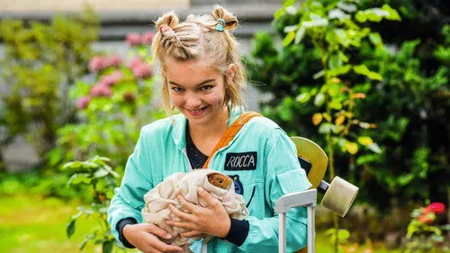 Rocca verändert die Welt izle afişi