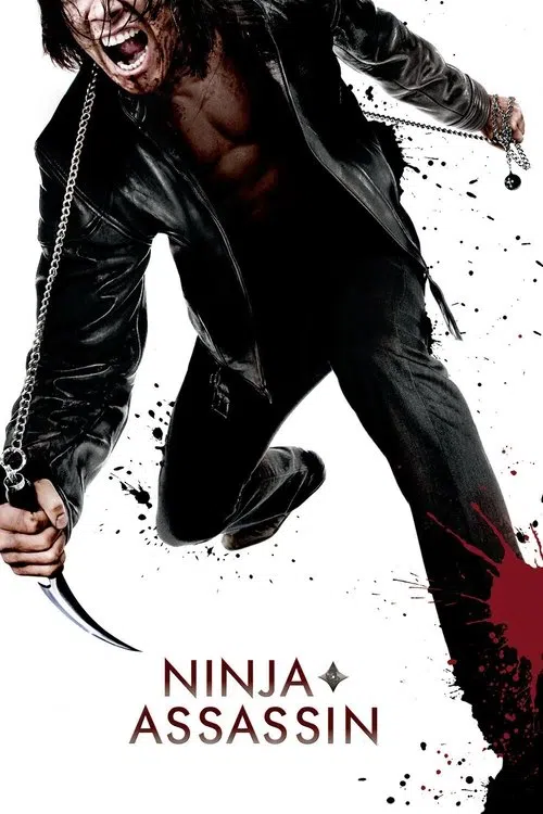 Ninja'nın İntikamı
