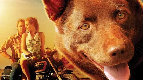 Kırmızı Köpek izle