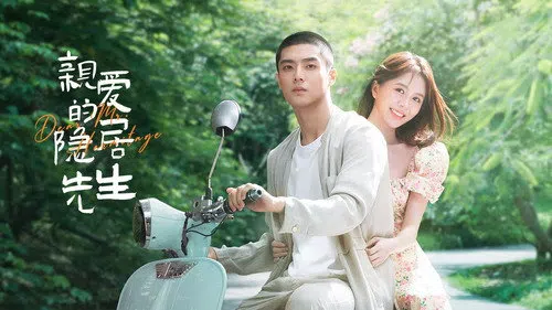 Dear Mr. Recluse izle afişi