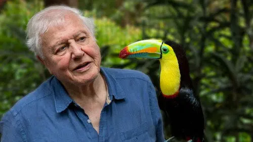 David Attenborough ile Yaşamın Renkleri izle