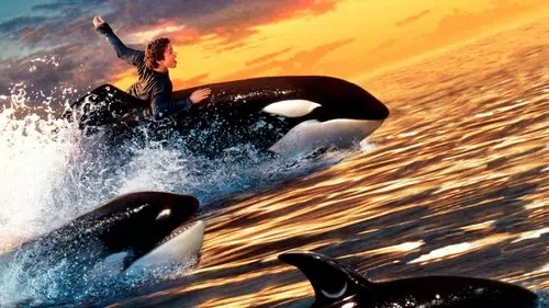 Özgür Willy 2 izle afişi