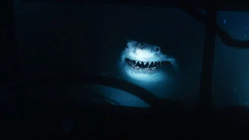Ani Saldırı izle