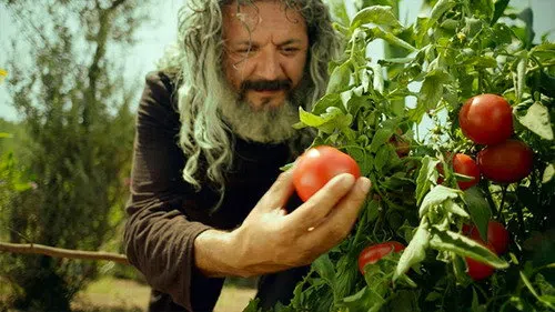 Mandıra Filozofu izle
