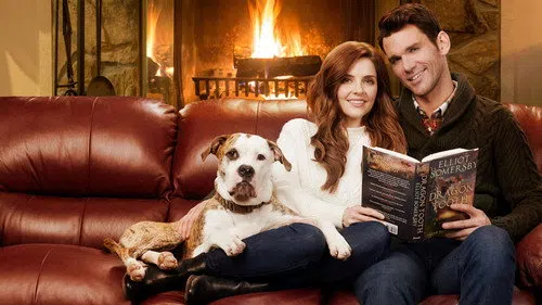 Winter Love Story izle