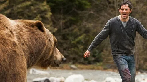 Into the Grizzly Maze izle afişi
